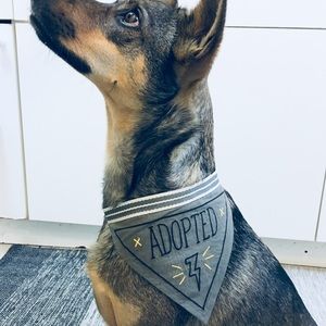 NWT Easy, Tiger Embroidered "Adopted" Dog Bandana